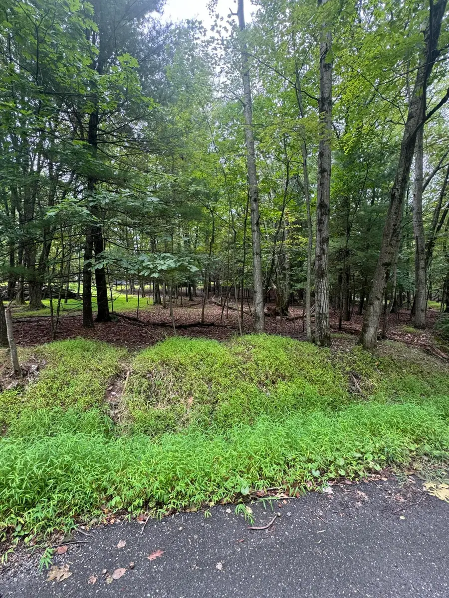 306 Lake Dr 306 Drive, Henryville, PA 18332 - #3
