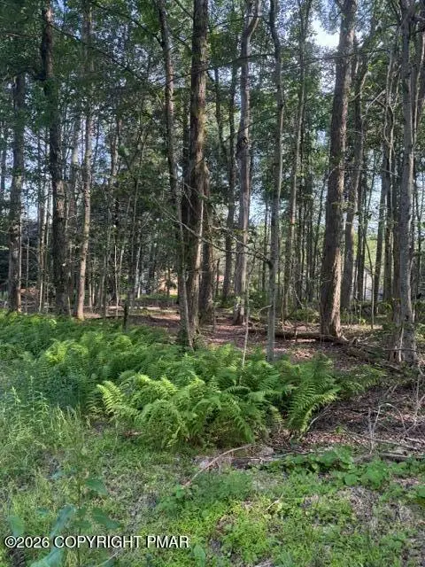 15/16 Sweet Briar Road, Pocono Pines, PA 18350