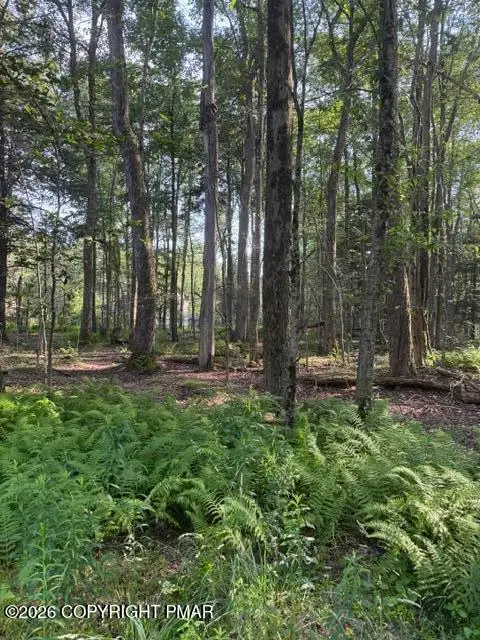 15/16 Sweet Briar Road, Pocono Pines, PA 18350 - #2