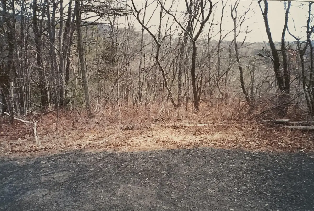 88 Beaver Ln 88 Lane, East Stroudsburg, PA 18302 - #1