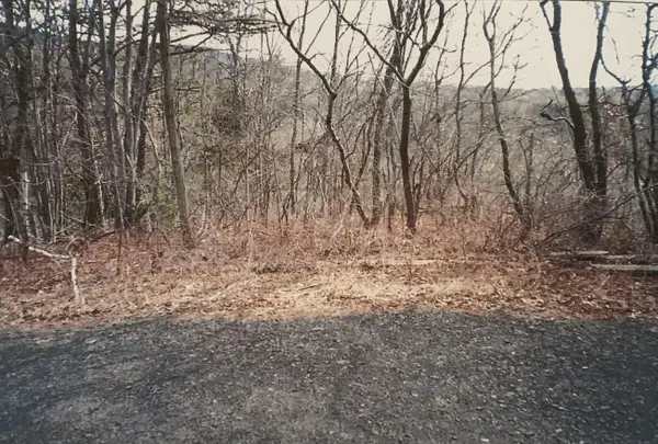 88 Beaver Ln 88 Lane, East Stroudsburg, PA 18302