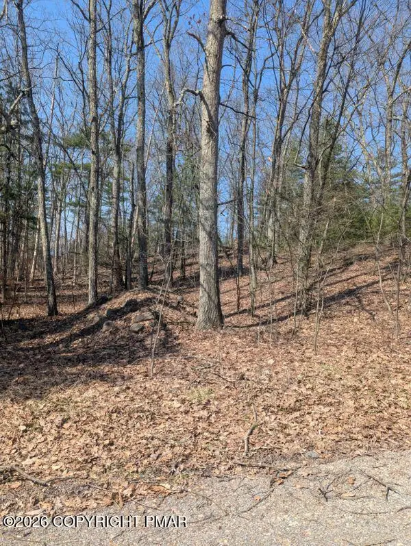 9 Hollow Dr 9 Drive, Stroudsburg, PA 18360
