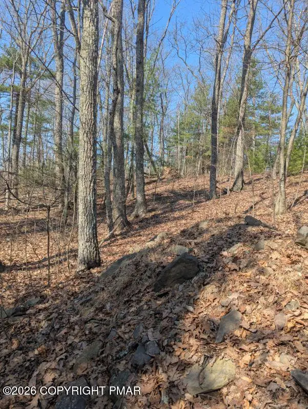 9 Hollow Dr 9 Drive, Stroudsburg, PA 18360 - #2