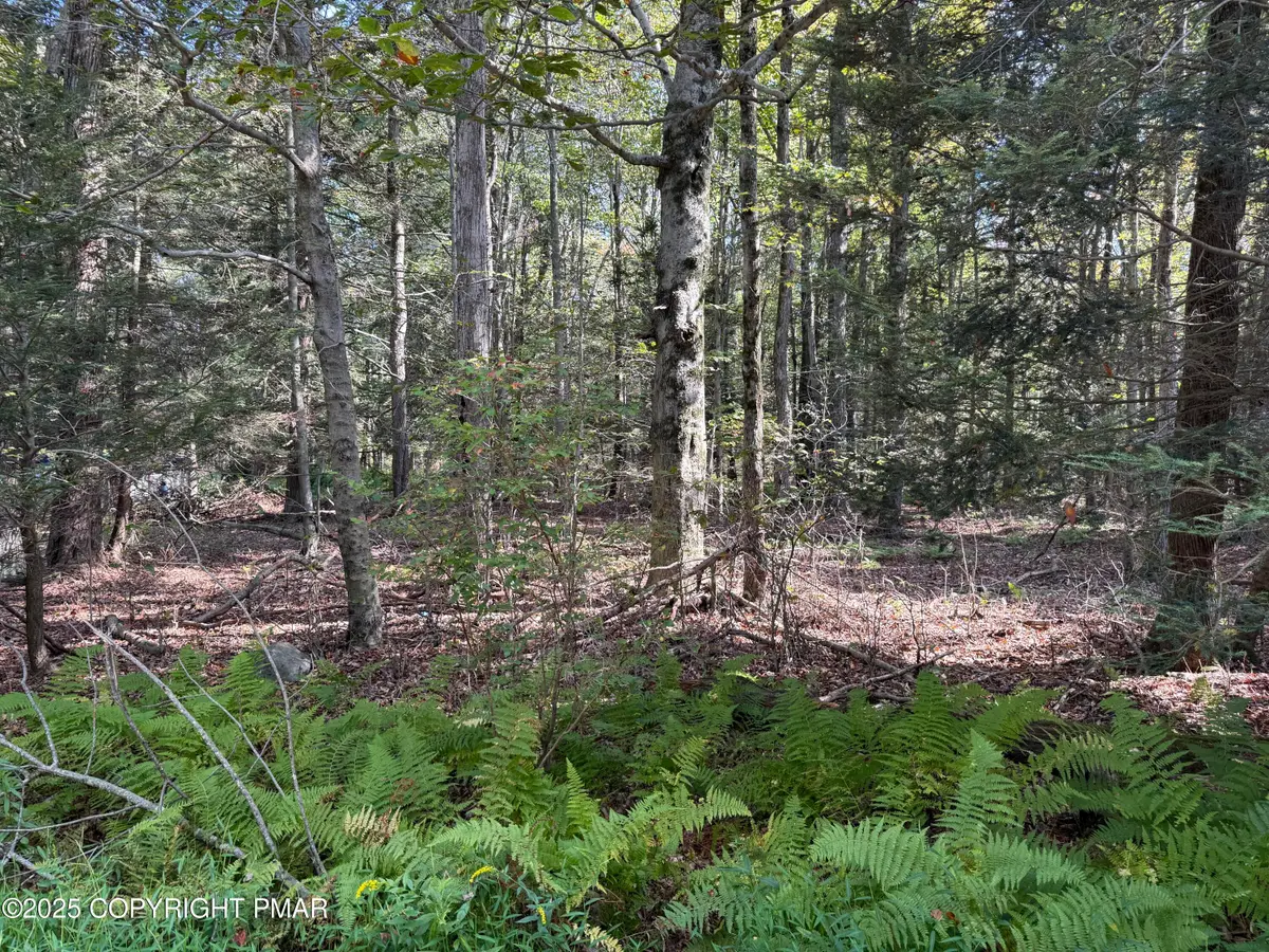166 George Drive, Blakeslee, PA 18610 - #1
