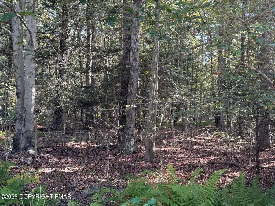 166 George Drive, Blakeslee, PA 18610 - #2