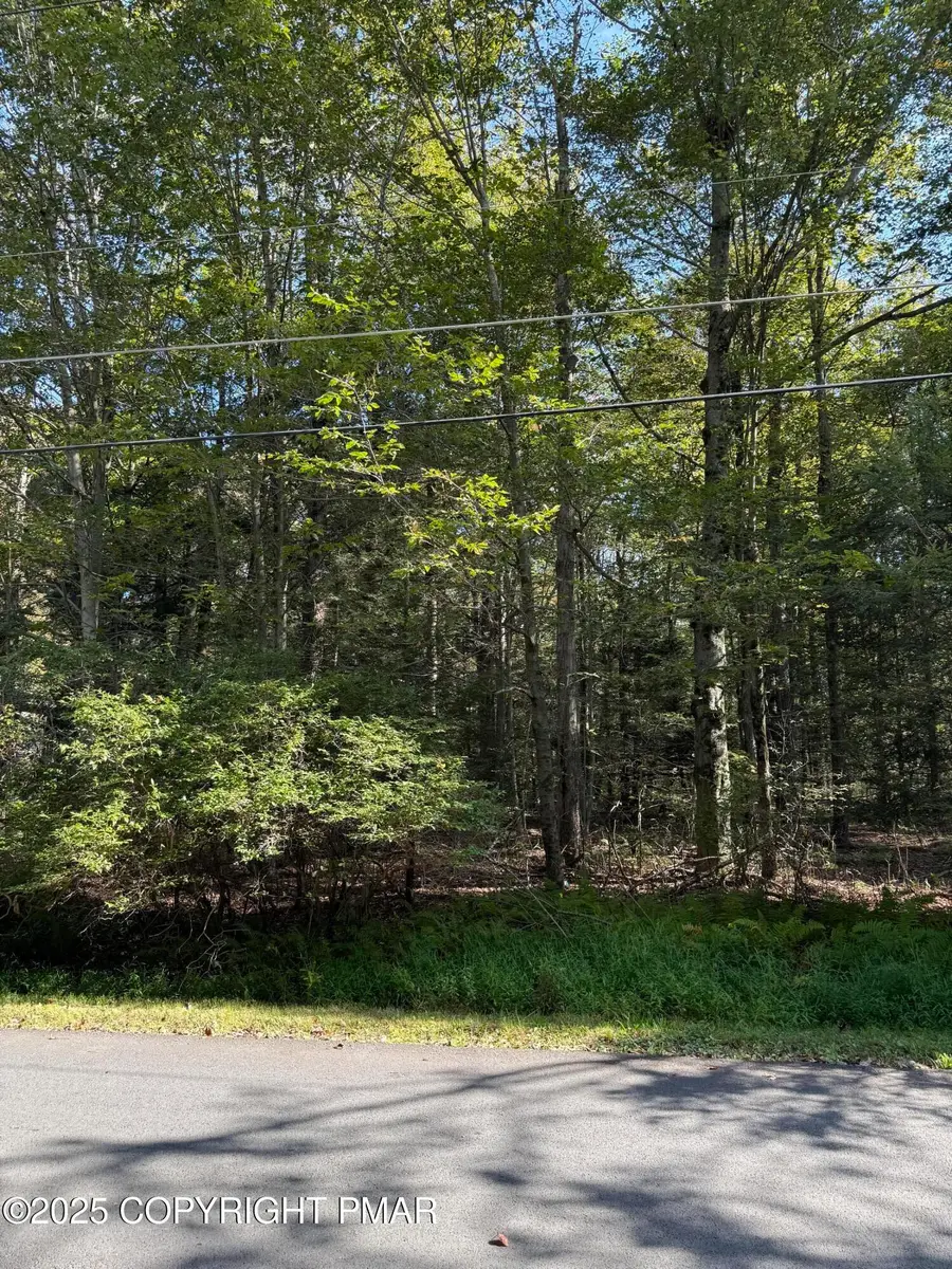 166 George Drive, Blakeslee, PA 18610 - #3