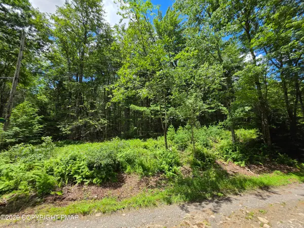 Lot 17-10 Zoe Road, Blakeslee, PA 18610