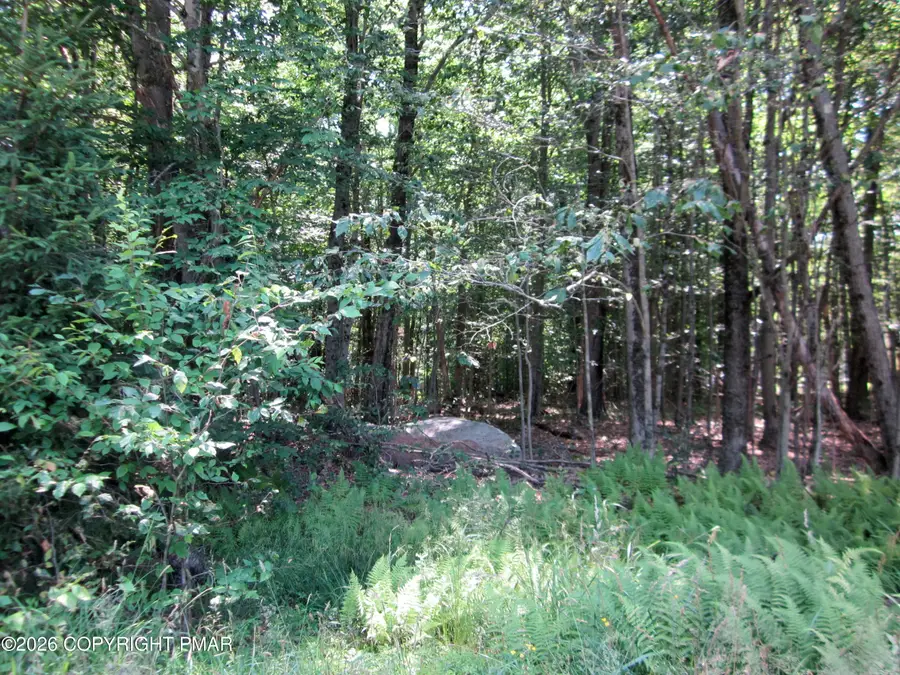 10 Sheshequin Drive, Pocono Lake, PA 18347 - #2