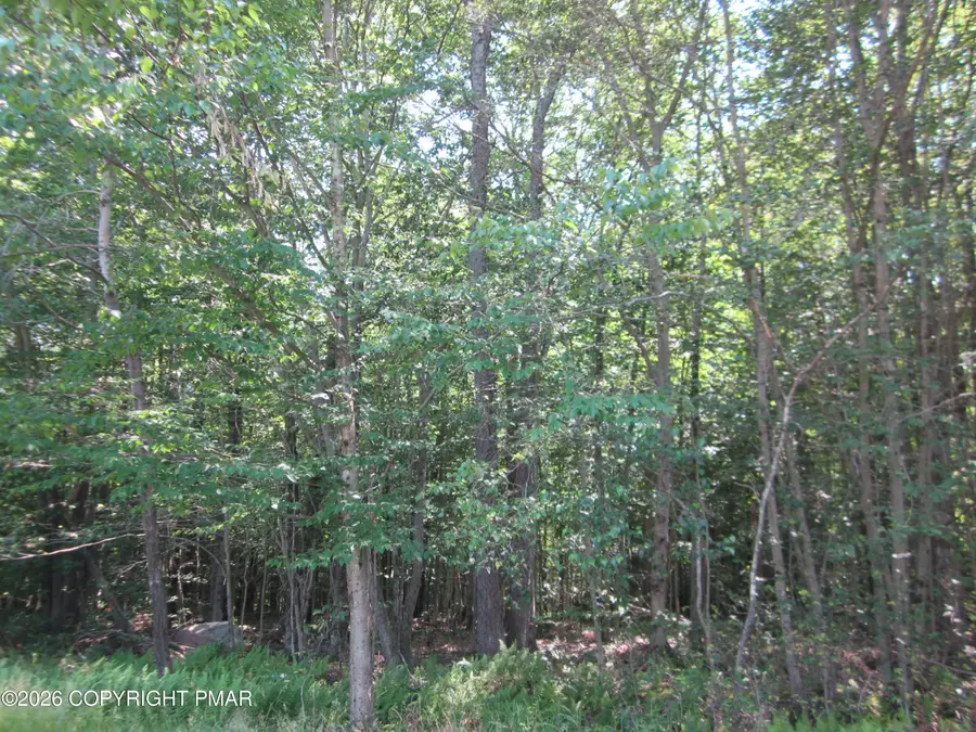 10 Sheshequin Drive, Pocono Lake, PA 18347 - #3