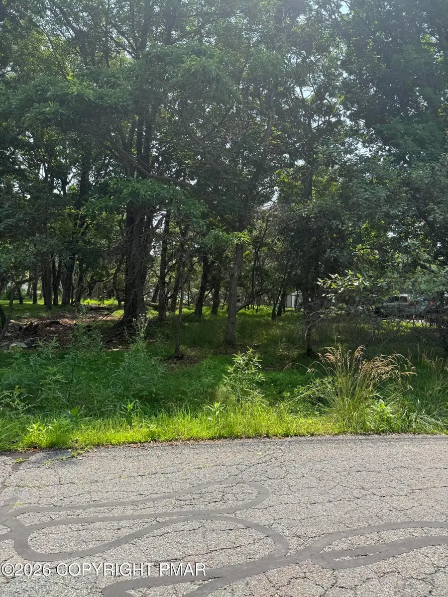 Caddo Terrace, Albrightsville, PA 18210 - #2