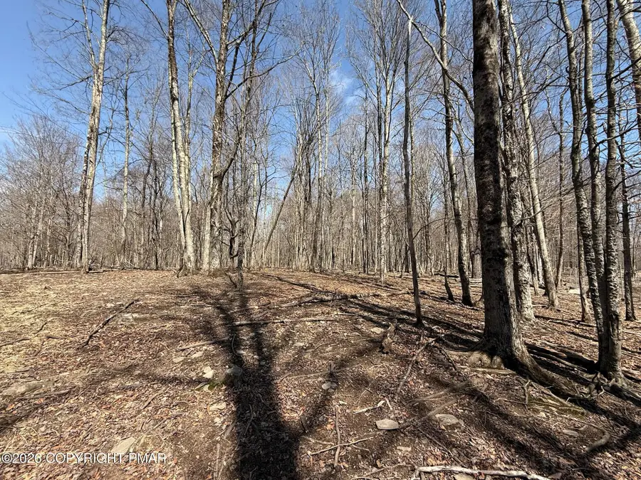 Blum Road, Equinunk, PA 18417 - #2