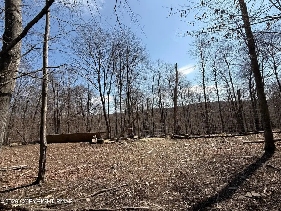 Blum Road, Equinunk, PA 18417 - #3
