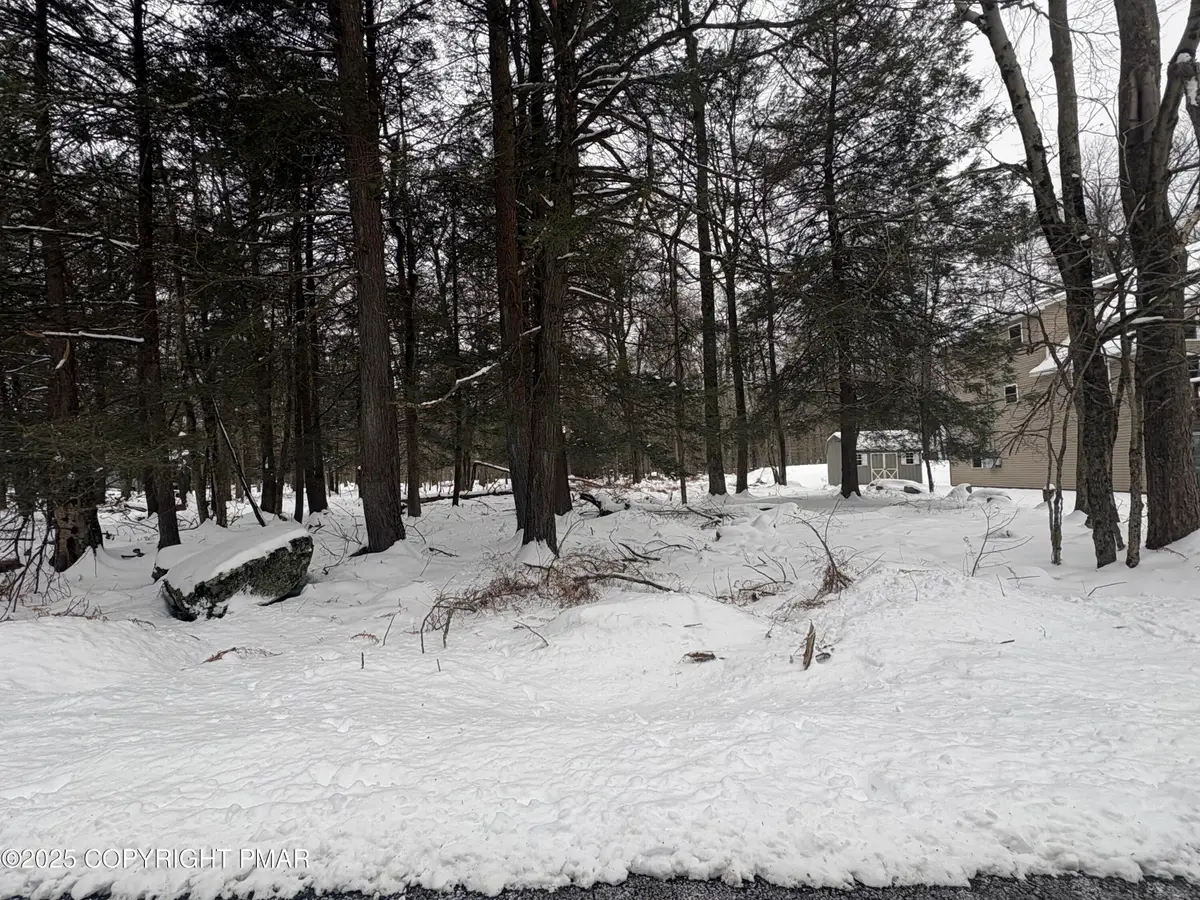 36 Old Silver Mine Trail, Gouldsboro, PA 18424 - #1