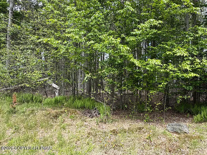 6 Winnebago Drive, Pocono Lake, PA 18347 - #3