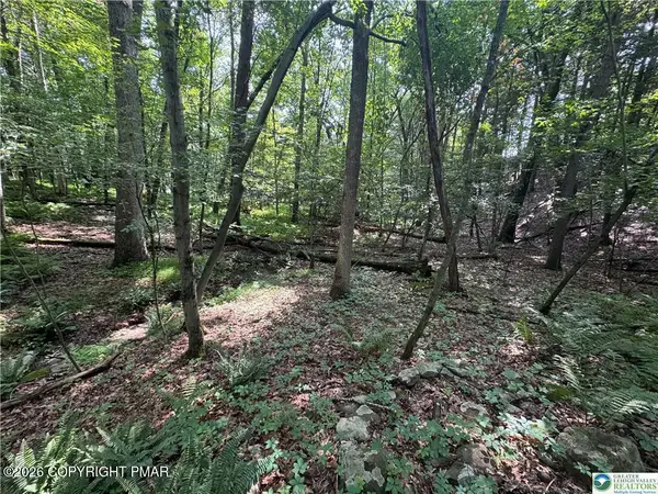 401 Par Dr 401 Drive, Kunkletown, PA 18058