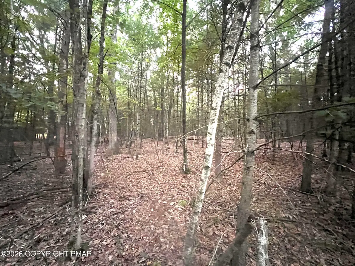 1 Arlene Dr Drive, Effort, PA 18330 - #1