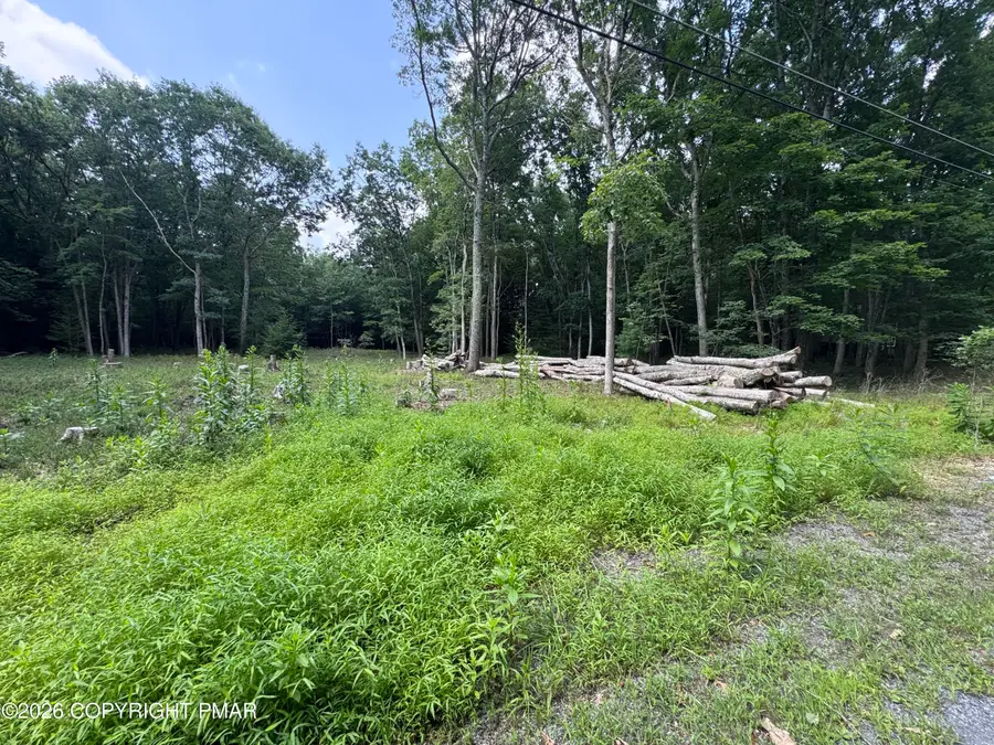 11 Cypress Drive, Jim Thorpe, PA 18229 - #3