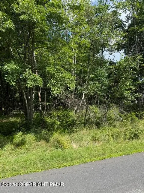 697 Clearview Drive, Long Pond, PA 18334 - #3