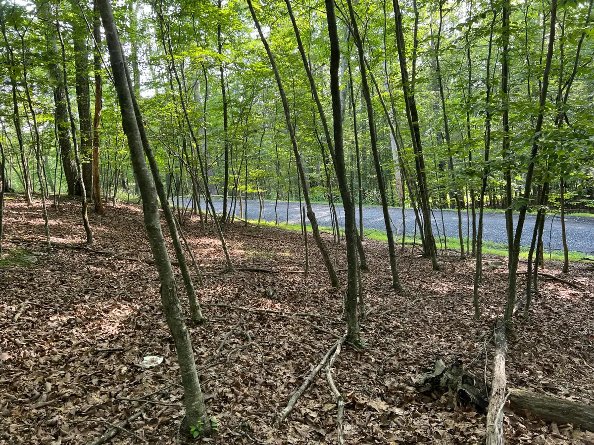 Yukon Drive, East Stroudsburg, PA 18302 - #1