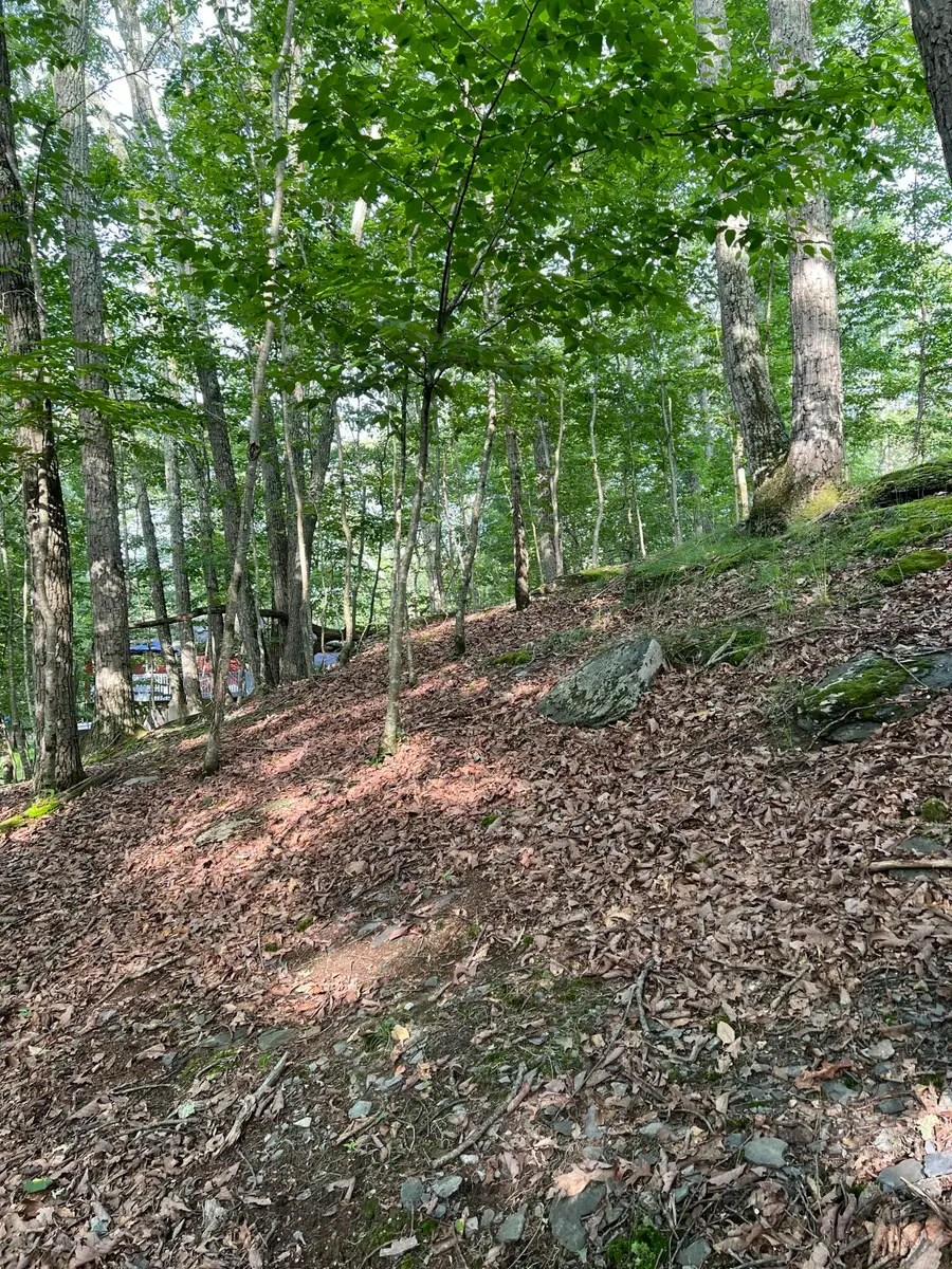 Yukon Drive, East Stroudsburg, PA 18302 - #2