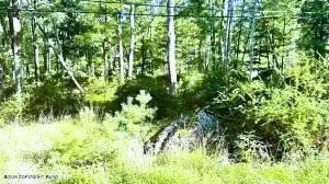 Metzgar Rd Road, East Stroudsburg, PA 18301 - #1