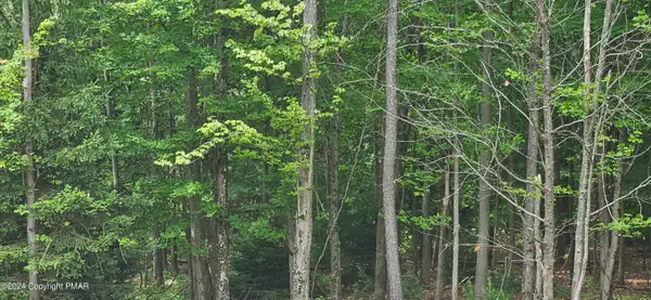 Ash Dr 406 Drive, Pocono Summit, PA 18346