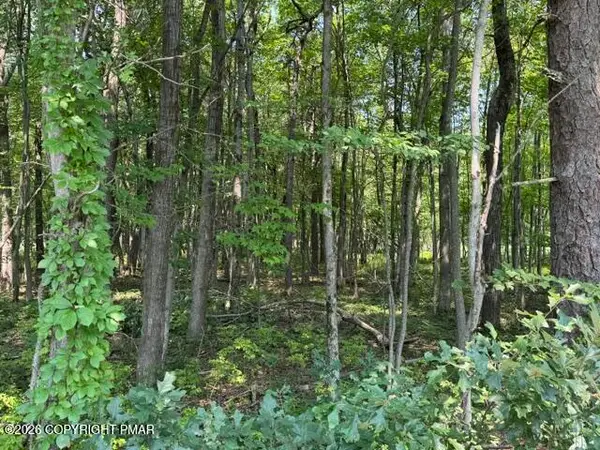 Panther Run Road & Robertson, Jim Thorpe, PA 18229