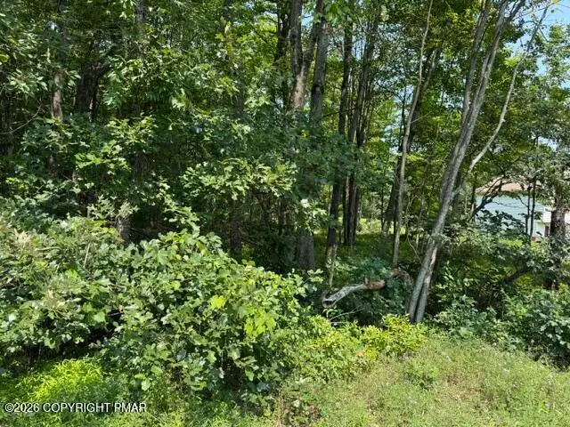 Panther Run Road & Robertson, Jim Thorpe, PA 18229 - #2