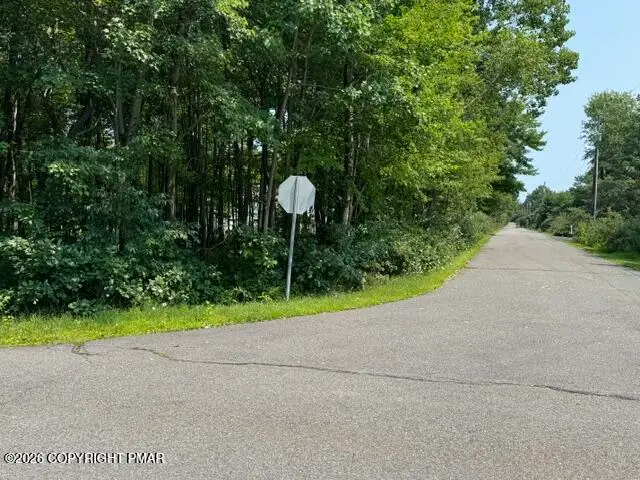Panther Run Road & Robertson, Jim Thorpe, PA 18229 - #3