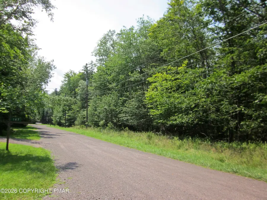 Safro 2 Ct 6 Court, Pocono Lake, PA 18347 - #2