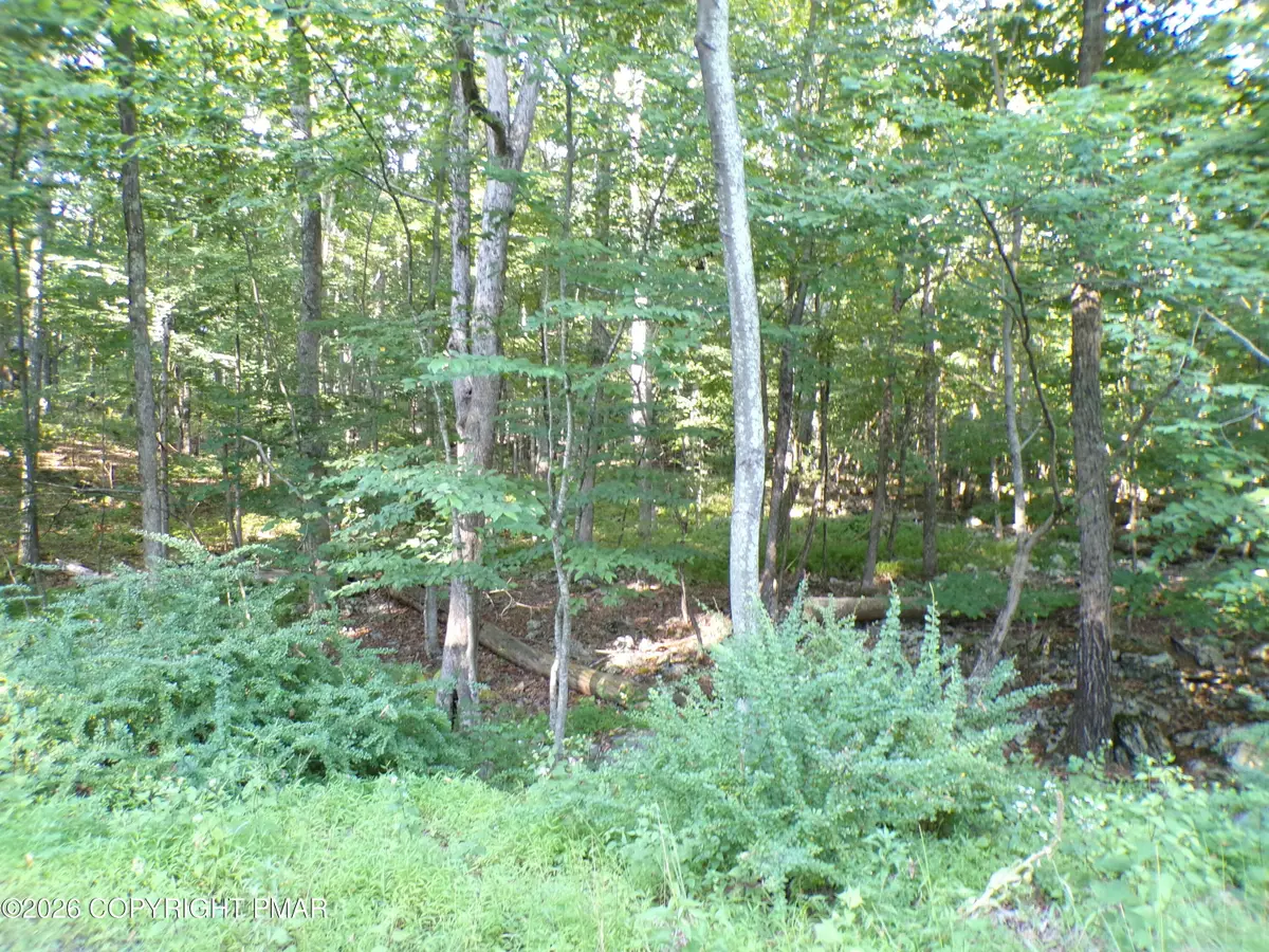Blue Ridge Dr 1208 Drive, Canadensis, PA 18325 - #1