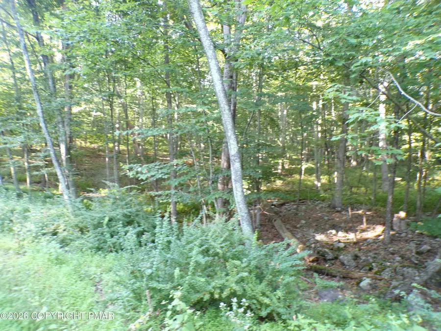 Blue Ridge Dr 1208 Drive, Canadensis, PA 18325 - #2
