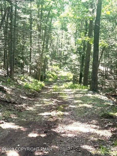 Bear Town Road, Cresco, PA 18326 - #2