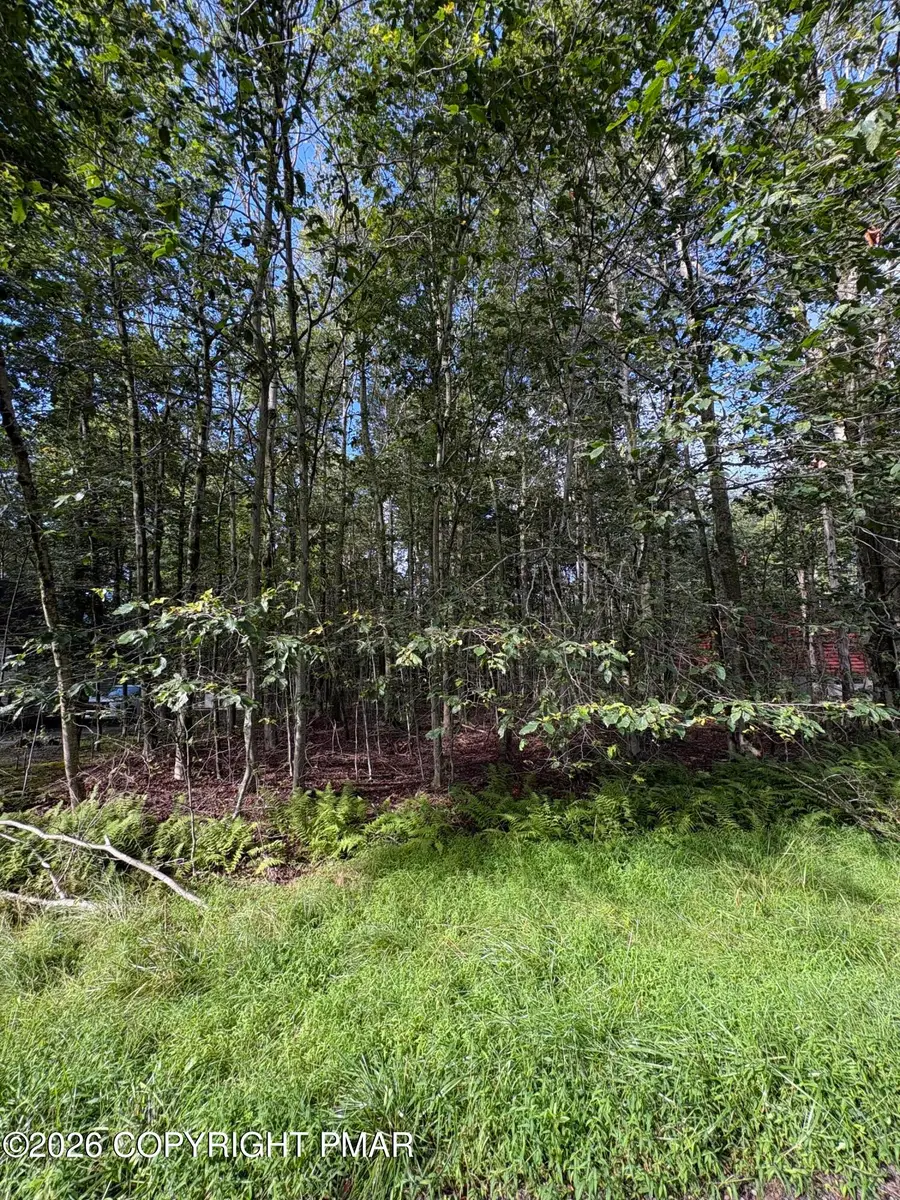 Lot 7 Chickasa Drive, Pocono Lake, PA 18347 - #3