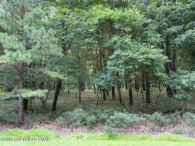 Ranier Road, Effort, PA 18330 - #1