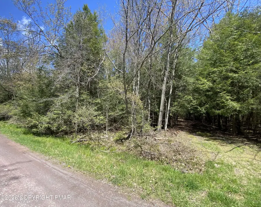 Waverly St 24, Pocono Summit, PA 18346 - #3
