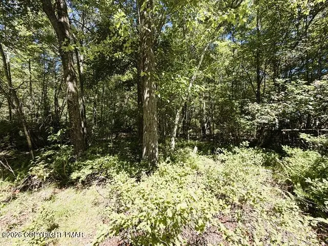 Dawn Dr 12, Cresco, PA 18326 - #3