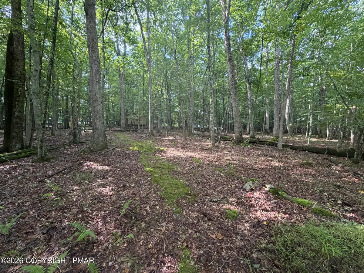 Birch Dr 608 Drive, Cresco, PA 18326 - #1