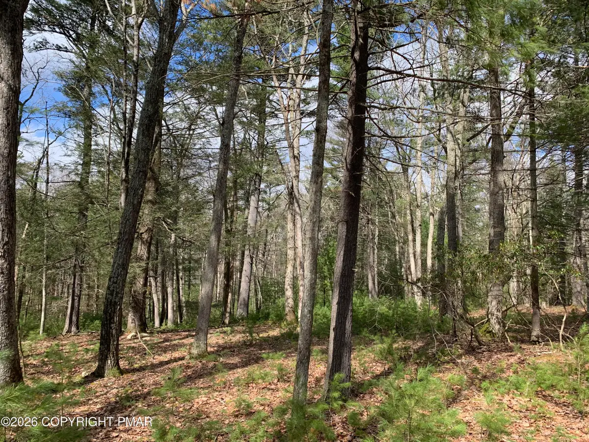 Tower Road, Dingmans Ferry, PA 18328 - #1