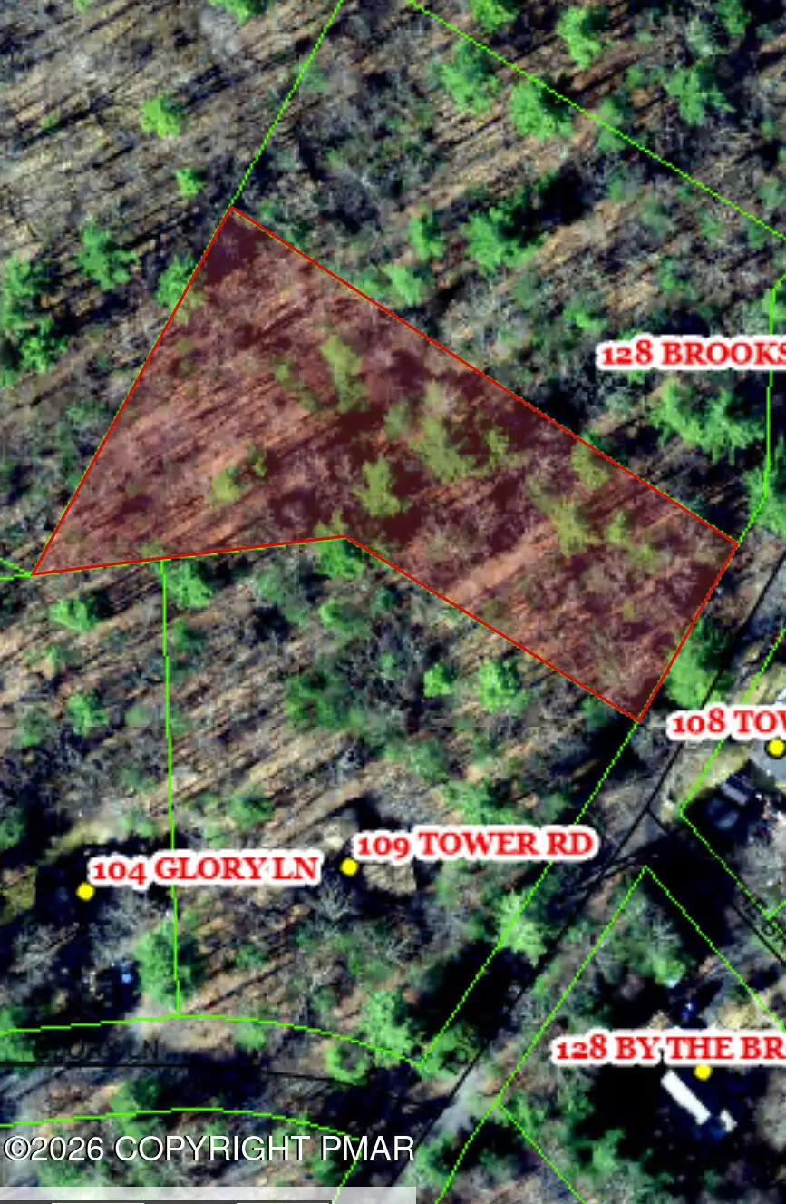 Tower Road, Dingmans Ferry, PA 18328 - #3