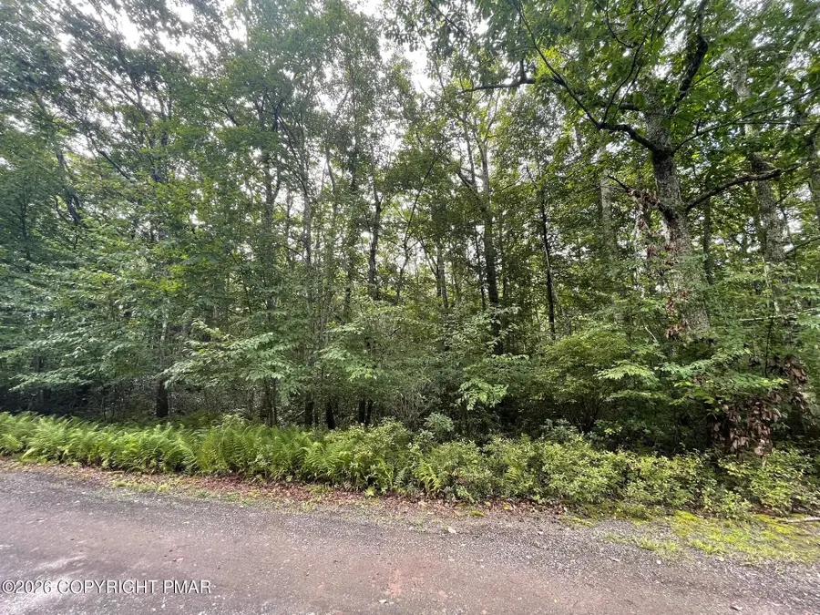 A392 Aspen Drive, Jim Thorpe, PA 18229 - #3