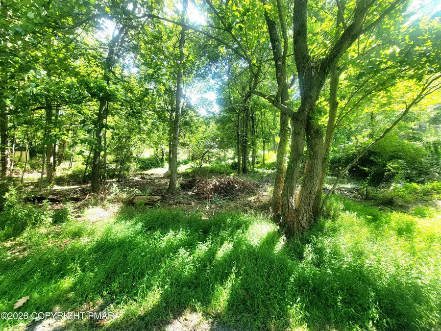 291/  # 77 Lake Road, Tobyhanna, PA 18466 - #2