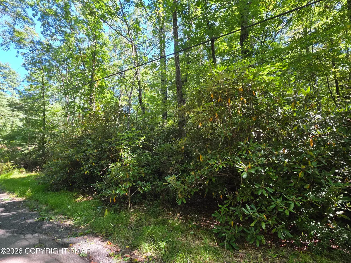 Cameron Rd 285 Road, Effort, PA 18330 - #1