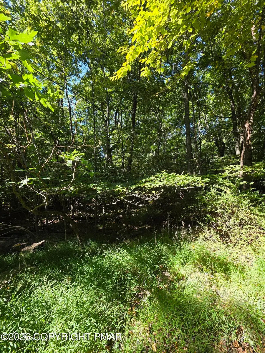 421 Donalds Road, Effort, PA 18330 - #2