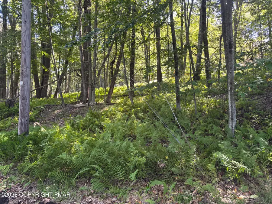Ski Trail 32, Pocono Lake, PA 18347 - #3