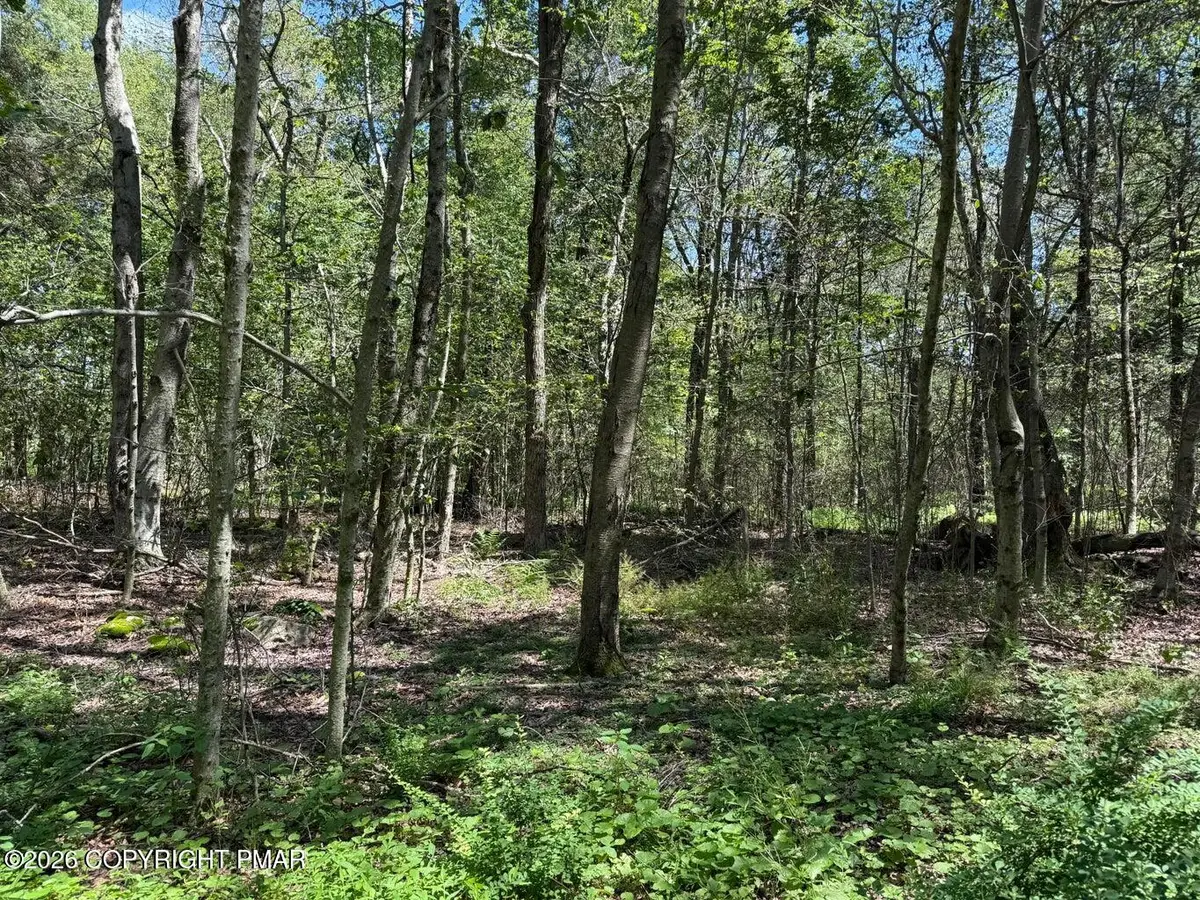 20 Wildbrook Drive, Newfoundland, PA 18445 - #1