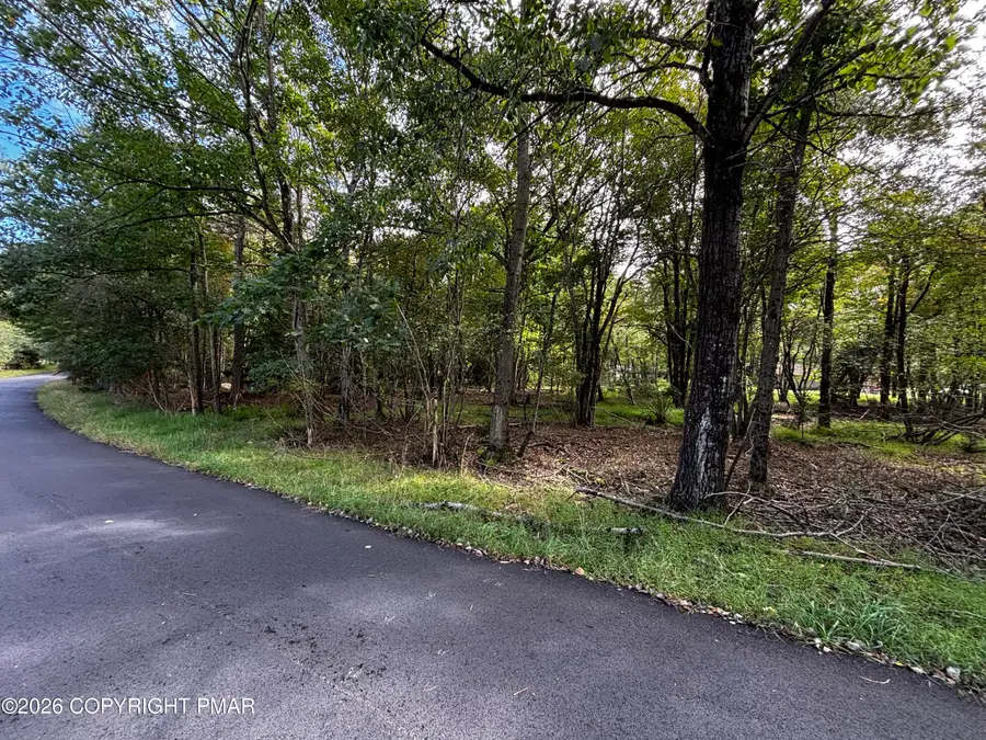 3137 Pine Tree Lane, Mount Pocono, PA 18344 - #3