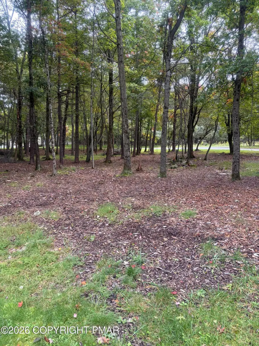 910/911 Willow Grove Rd Road, Pocono Summit, PA 18346 - #2