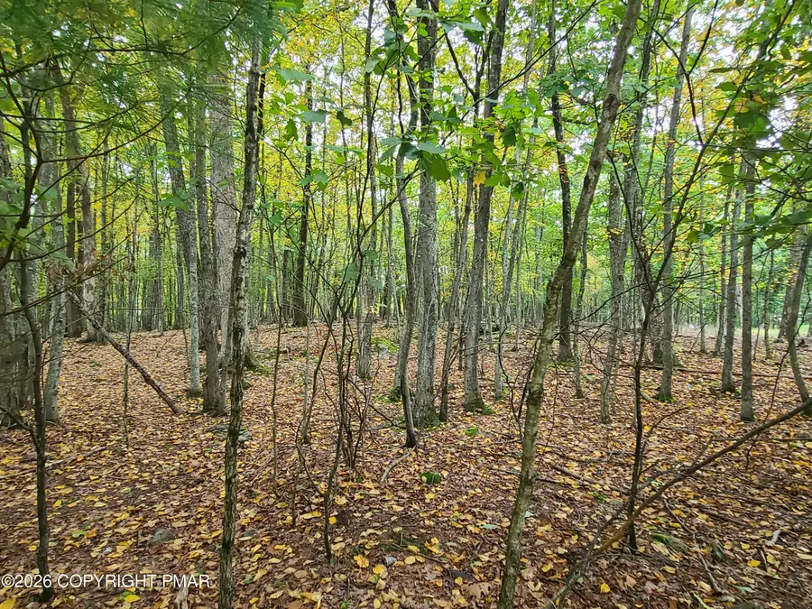 Lot 46 White Dove Road, East Stroudsburg, PA 18302 - #3