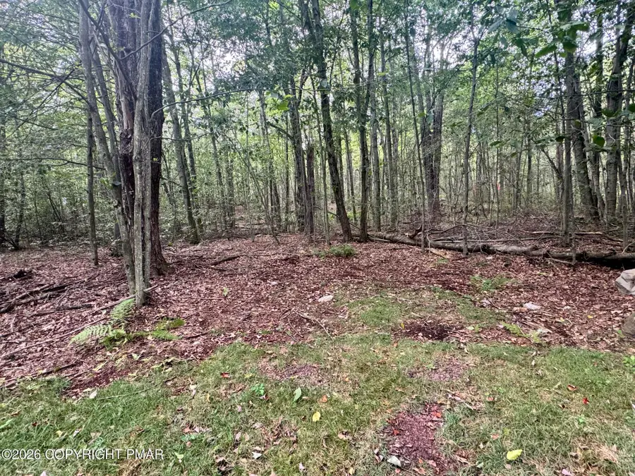 A50 Sage Road, Blakeslee, PA 18610 - #3